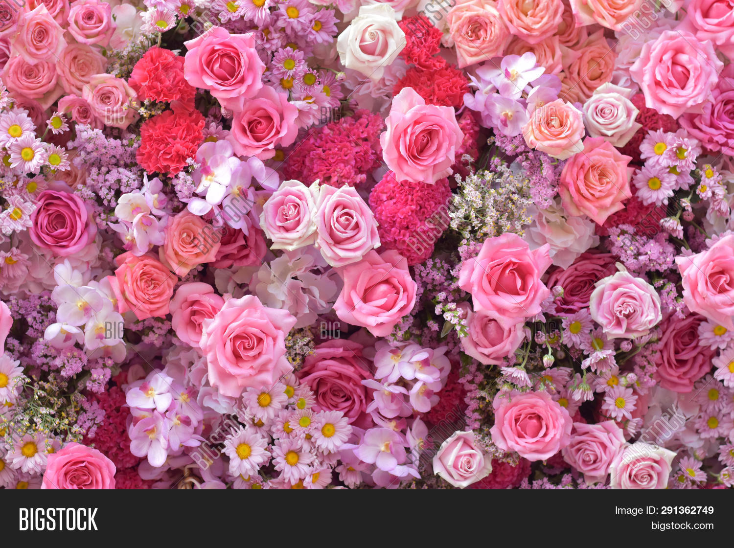 abstract,anniversary,backdrop,background,beautiful,beauty,blooming,blossom,bouquet,card,chrysanthemum,closeup,color,day,decorative,design,detail,elegant,feminine,floral,florist,flower,flowery,fresh,garden,gift,greeting,invitation,leaf,love,natural,pattern,petal,pink,plant,present,romance,romantic,rose,spring,sweet,texture,top,valentine,view,vintage,vivid,wallpaper,wedding
