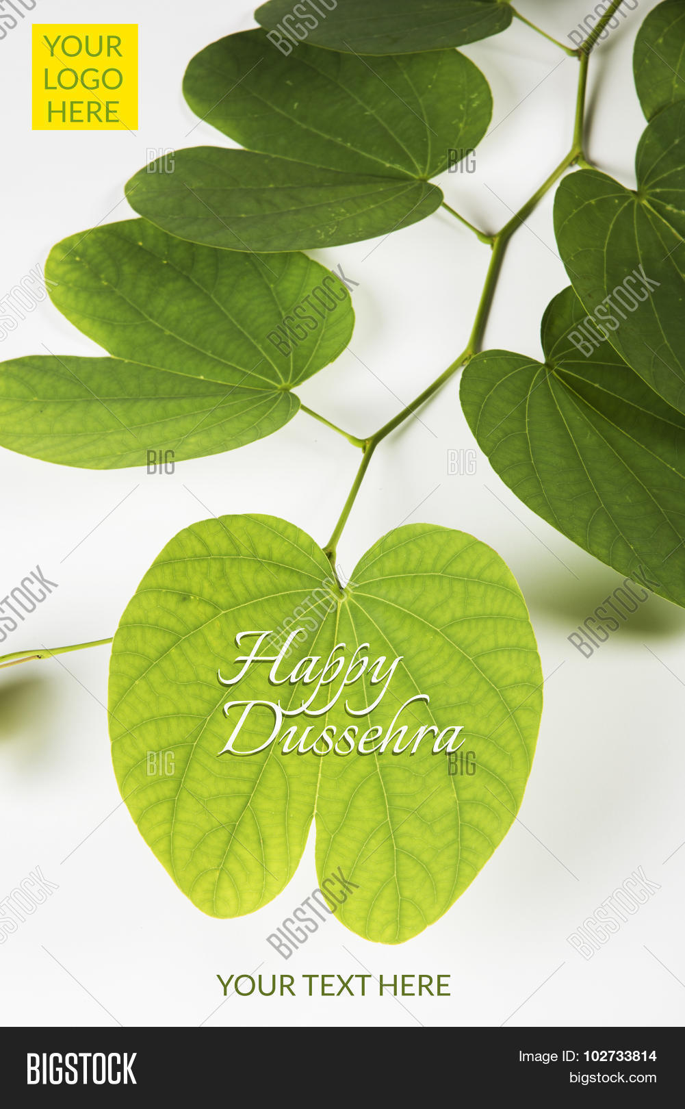 apta,auspecious,banraji,beedi,bhagwan,bidi,card,celebration,cigarette,dahan,dashmi,death,dusahera,dussehra,dussera,exchanging,festival,gold,golden,greeting,gul-e-anehnal,happiness,hindu,indian,leaf,mayila,medicine,money,mythalogy,piliostigma,prosperity,racemosum,ram,ravan,religion,symbol,tree,victory,vijaya