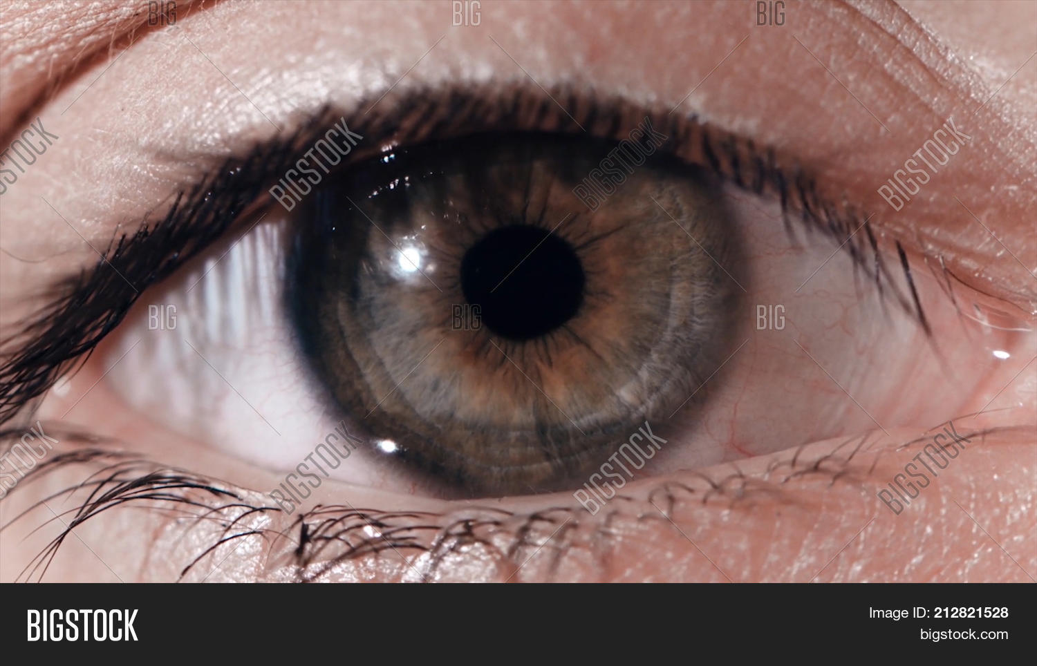 Close Up Of A Beautiful Young 212821528 Image Stock Photo