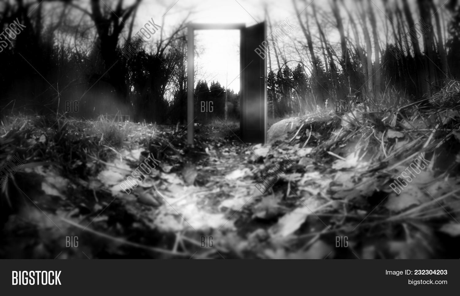 Mysterious Forest The Door To Nowhere The Door In The Woods Mystery Image Stock Photo
