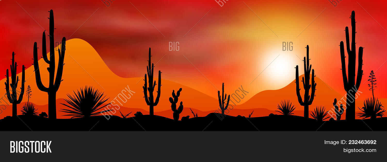 banner,black,cactus,dawn,desert,evening,graphics,illustration,landscape,mountains,nature,plants,red,silhouette,stones,stony,sun,sunrise,sunset