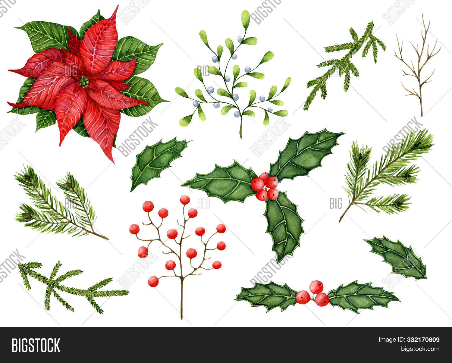 background,berry,botanical,branch,bundle,card,celebrate,celebration,christmas,decoration,decorative,design,drawing,drawn,element,evergreen,foliage,forest,garden,green,greenery,hand,happy,holiday,holly,illustration,invitation,isolated,leaf,mistletoe,nature,needle,painting,pine,plant,poinsettia,postcard,poster,red,set,spruce,star,symbol,textiles,tree,twig,viburnum,watercolor,winter,xmas