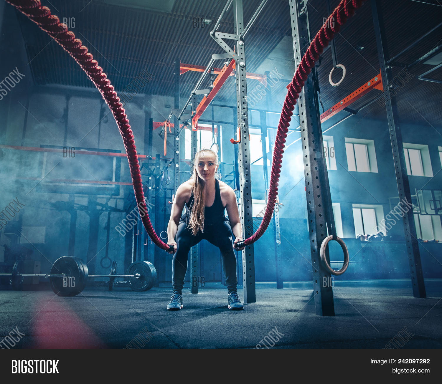 active,activity,adult,alternating,athlete,athletic,battle,beautiful,body,bodybuilder,bodybuilding,caucasian,club,cross,determination,effort,energy,equipment,ethnicity,exercise,female,fit,fitness,fun,functional,guy,gym,health,healthy,indoor,lifestyle,muscle,muscular,one,people,person,physical,power,rope,sport,strength,strong,trainer,training,weight,weightlifting,woman,working,workout,young