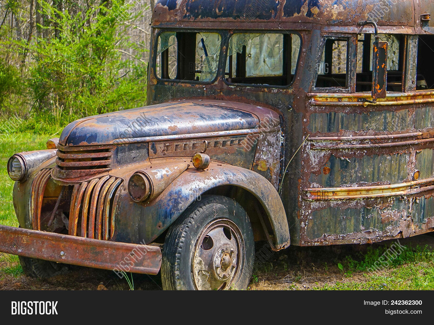 antique,broken,bumper,bus,children,doors,drive,driver,engine,fashioned,grill,headlights,jalopy,lights,mirror,old,roads,rust,rusted,school,stops,tires,transportation,vintage,wheels,windows,woods