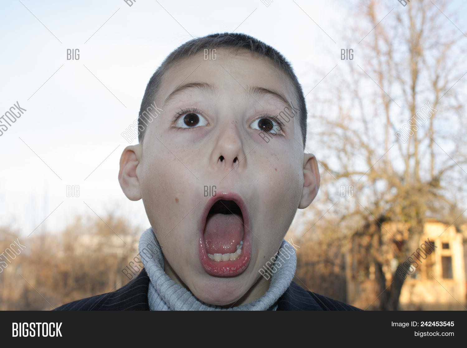 7-8,8-9,adorable,amazement,artistic,astonishment,background,beautiful,boy,caucasian,character,child,childhood,close-up,closeup,cute,dark,depicting,emotion,expression,face,facial,fright,grimace,hair,head,horizontal,horror,human,kid,male,mouth,open,people,person,photo,photography,portrait,school,shaten,strong,white,years,young