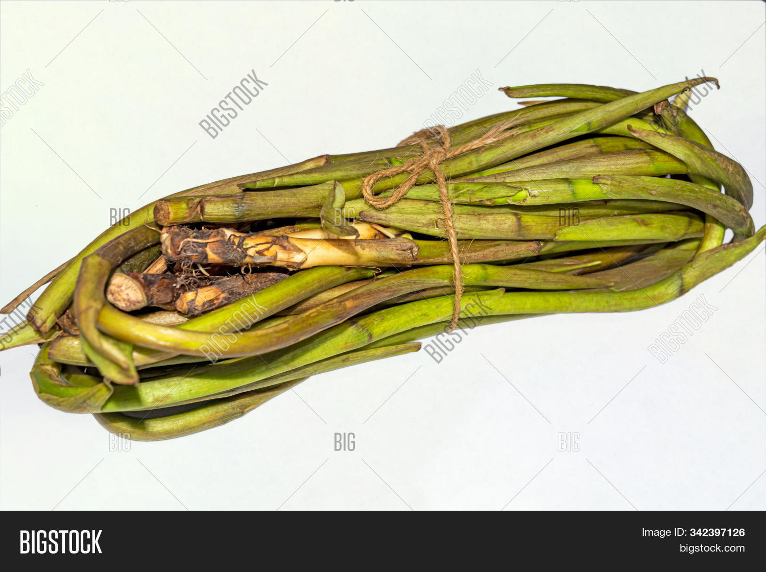 agriculture,asia,asian,background,bangladesh,bengal,bengali,brown,bunch,carbohydrate,colocasia,cultivated,eating,edible,food,fresh,green,health,healthy,india,indian,ingredient,kochur,loti,natural,nature,organic,plant,raw,root,stem,stolon,studio,taro,tropical,vegetable,west,white