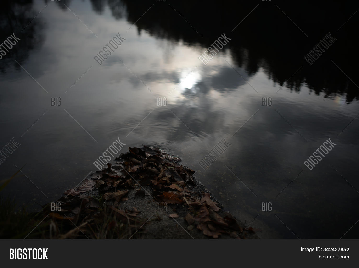 Germany, 																					Gloomy, 																					afternoon, 																					autumn, 																					background, 																					beautiful, 																					dark, 																					dramatic, 																					enchanted, 																					environment, 																					fog, 																					foggy, 																					forest, 																					landscape, 																					misty, 																					moody, 																					morning, 																					mountain, 																					mysterious, 																					mystery, 																					mystical, 																					nature, 																					night, 																					old, 																					photographed, 																					pine, 																					scary, 																					scenery, 																					scenic, 																					sky, 																					spooky, 																					stormy, 																					tarnish, 																					tree, 																					vintage, 																					weather, 																					wild, 																					winter, 																					wood