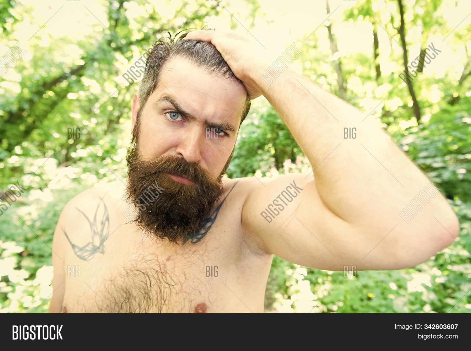 adventure,attractive,background,bearded,caucasian,concept,day,extreme,face,forest,fresh,guy,hair,health,healthy,heat,hipster,hot,landscape,leisure,male,man,naked,natural,nature,outdoor,person,recreation,refreshment,relax,resort,serious,skin,summer,summertime,survive,sweat,sweaty,tattooed,thirsty,tourism,travel,tropical,vacation,wet