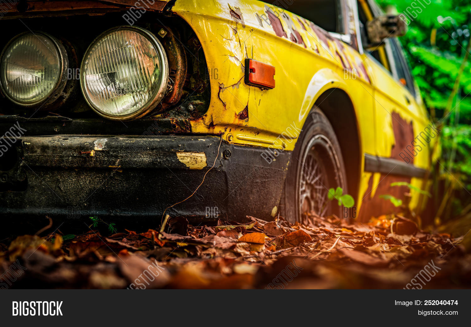 Old Wrecked Car In Vintage Style Abandoned Rusty Yellow Car In The Forest Closeup Front View Headl Image Stock Photo 252040474