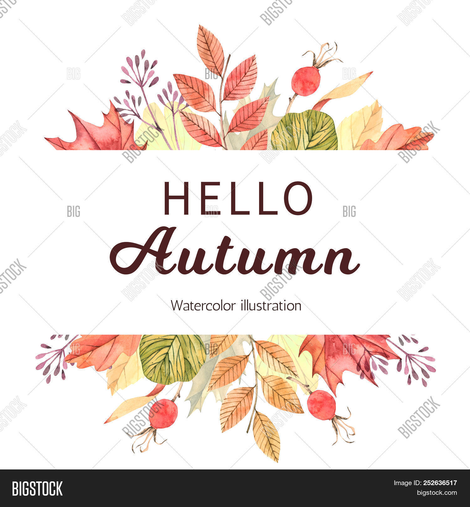 aquarelle,autumn,border,botanical,branch,bridal,card,circle,clipart,composition,date,decoration,design,drawing,drawn,elements,fall,floral,foliage,frame,greeting,hand,herb,illustration,invitation,invite,label,laurel,leaves,made,marriage,native,natural,nuptials,orange,ornament,ornamental,print,red,save,season,seasonal,sketch,thanksgiving,the,vintage,watercolour,wedding,wreath,yellow