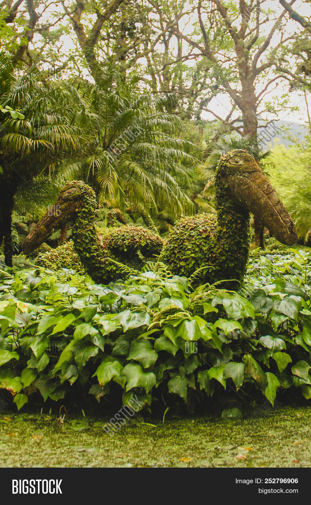 animal,art,azores,background,beautiful,bird,botanical,bush,camouflage,cut,decoration,design,dinosaur,elephant,fauna,fern,garden,gardener,gardening,grass,green,greenery,landscape,lawn,leaf,leaves,life,lush,miguel,moss,natural,nature,nostra,ornament,ornamental,outdoor,plant,portugal,sao,sculpture,shape,shaped,shaping,surface,terra,tropical,wildlife