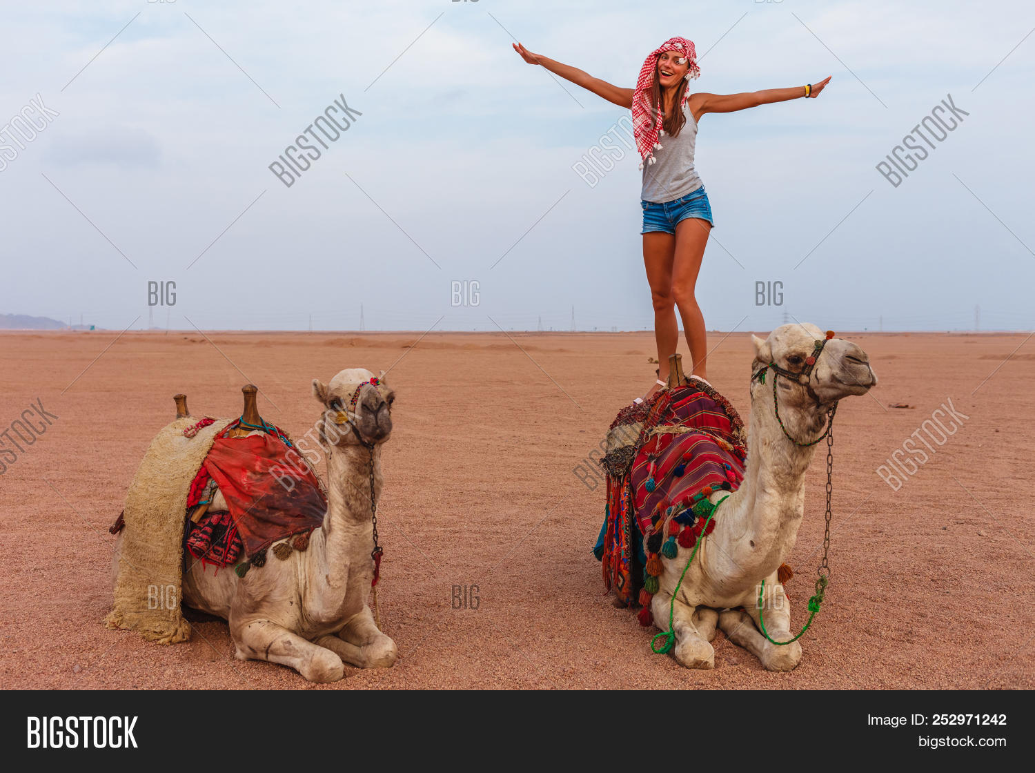 adventure,ambiance,ancient,animal,arab,arabia,arabian,arabic,asia,background,beautiful,camel,caravan,clouds,culture,desert,dromedary,dry,dune,east,egypt,egyptian,hot,landscape,lonely,middle,morning,morocco,nature,orange,outdoor,safari,sahara,sand,scene,sinai,sky,summer,sun,sunset,terrain,tourism,tourist,traditional,tranquil,travel,tunisia,walk,woman,yellow