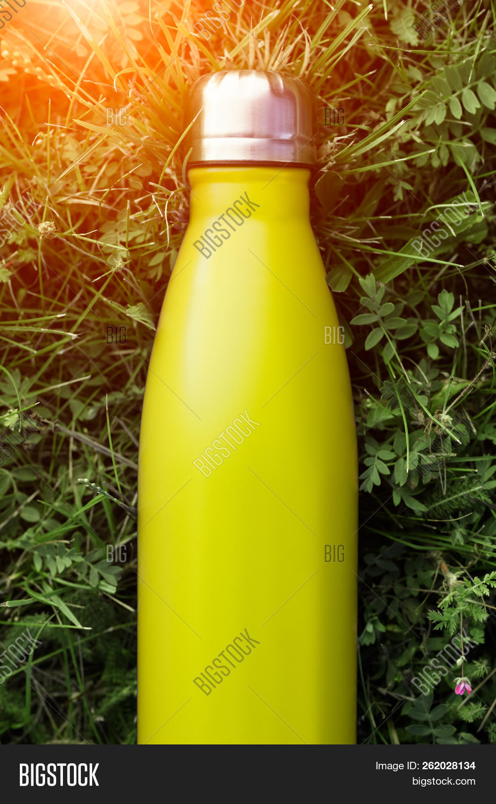 Download Stainless Thermos Water Bottle Light Lemon Color Light Yellow Mockup Isolated On Green Grass Back Image Stock Photo 262028134