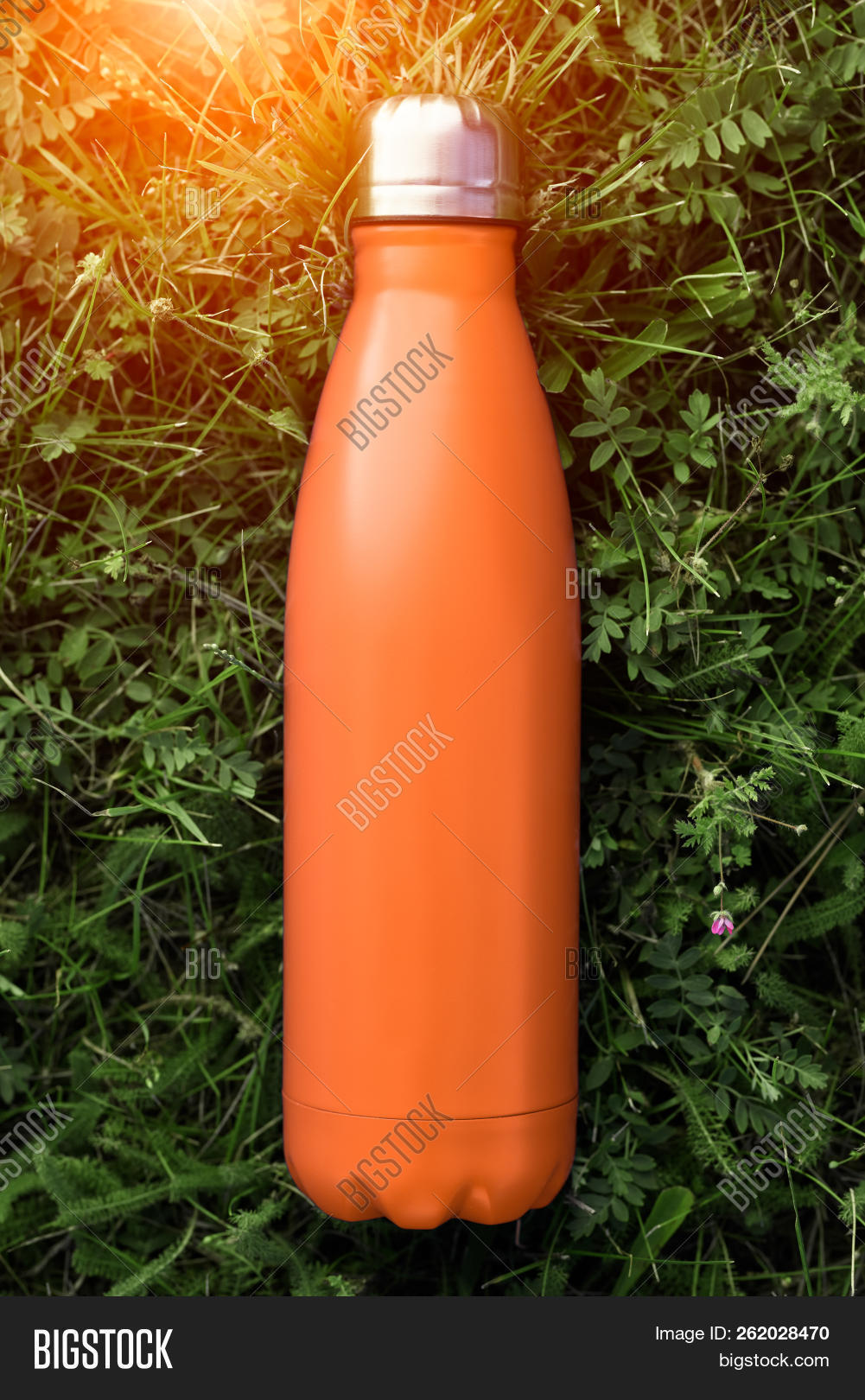 aluminum,background,beverage,blank,bottle,brand,branding,camping,clean,clear,closeup,color,container,cup,design,drink,empty,environment,fitness,flask,fresh,grass,healthy,hyper,isolated,liquid,lying,metal,mock-up,mockup,mug,nature,object,organic,outdoor,realistic,shiny,single,sport,stainless,steel,sunlight,teenagers,temperature,thermo,tin,travel,traveler,warm,water
