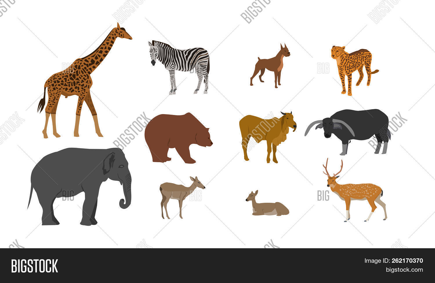 africa,animal,antelope,background,bear,black,brown,buffalo,cartoon,cheetah,collection,cow,deer,design,dog,drawing,elephant,giraffe,group,hippo,icon,illustration,isolated,lion,mammal,nature,objects,rhino,safari,set,silhouette,symbol,tiger,vector,white,wild,wildlife,zebra,zoo