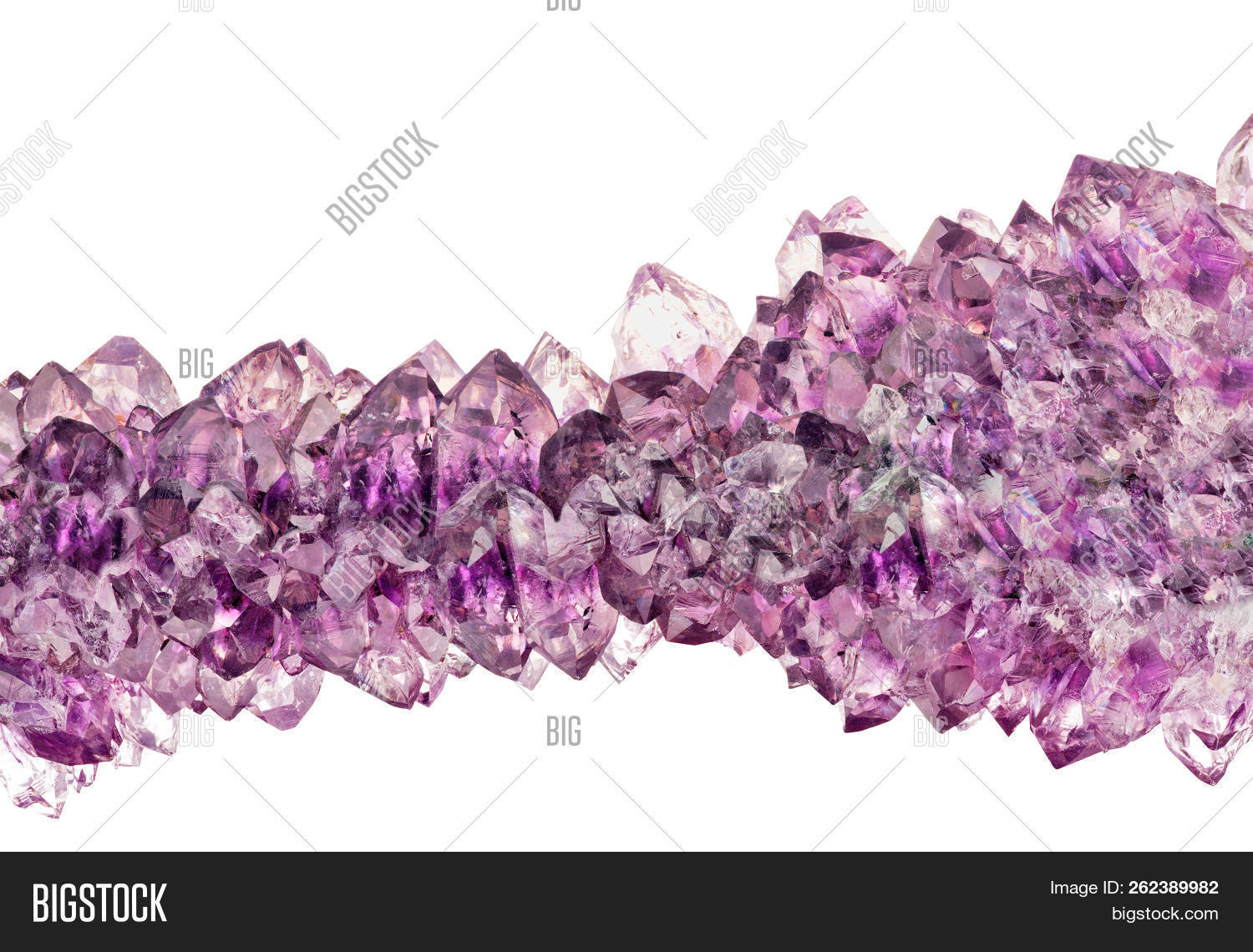 Macro Photo Of Lilac Amethyst Crystals Isolated On White Background Image Stock Photo 262389982 Amethyst crystal cluster crystal quartz mineral crystal healing gemstone crystallography metalcoated crystal ametrine geode agate ruby jewellery purple. photo stock editor
