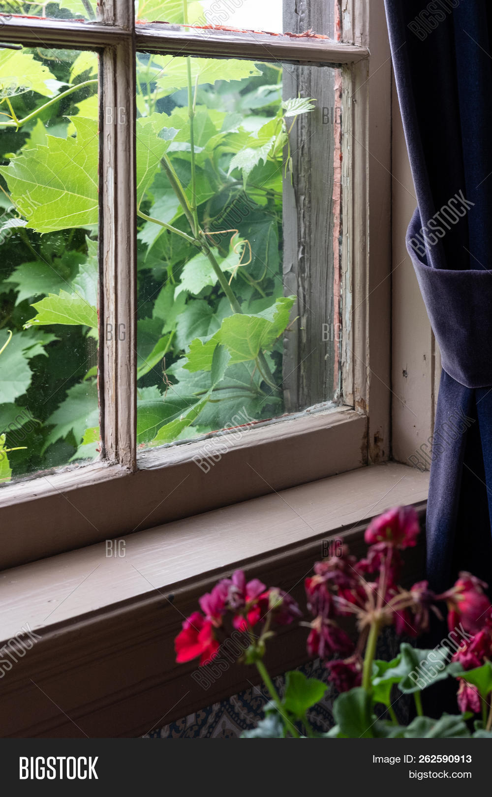 Brunswick,Canada,Kings,Landing,New,attraction,calm,country,countryside,curtains,dark,flowers,foliage,frame,green,heritage,historic,home,house,inside,interior,liana,lush,moody,old,relaxing,retro,rural,rustic,settlement,summer,tourism,traditional,tranquility,travel,vacation,weathered,window,wooden
