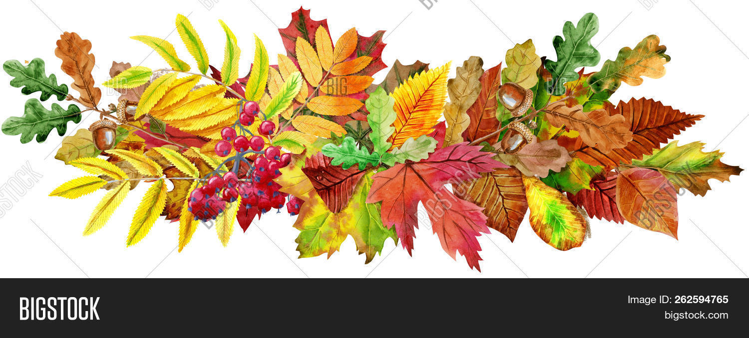 abstract,arrangement,autumn,autumnal,border,botanical,bright,burgundy,card,composition,concept,decor,decoration,decorative,elegant,element,fall,flatlay,flora,floral,foliage,forest,frame,garden,green,illustration,isolated,leaf,maple,modern,natural,nature,november,oak,october,orange,plant,postcard,print,red,romantic,rowan,season,september,thanksgiving,tree,various,watercolor,wreath,yellow