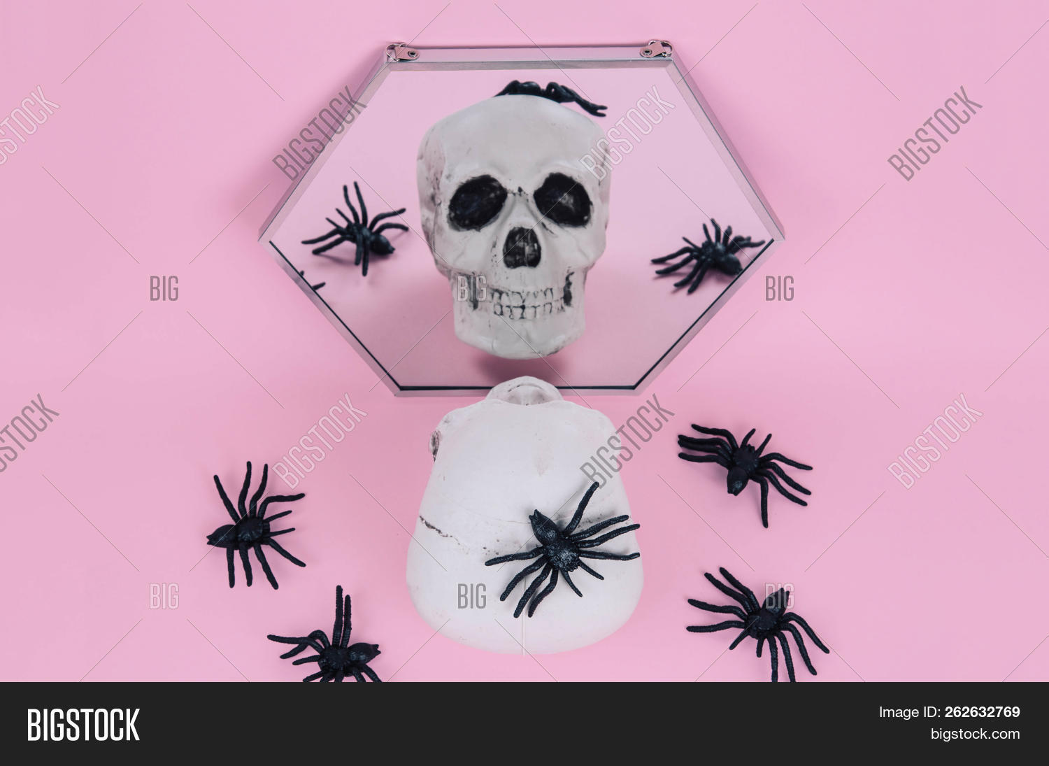 anatomy,art,autumn,background,bone,bright,celebration,concept,creative,creepy,dead,death,decor,decoration,decorative,design,evil,face,fall,fear,festive,fun,funny,ghost,grunge,halloween,head,holiday,horror,human,minimal,mirror,no,nobody,object,october,pastel,people,pink,scary,season,skeleton,skull,spider,spooky,surreal,symbol,teeth,trend,white