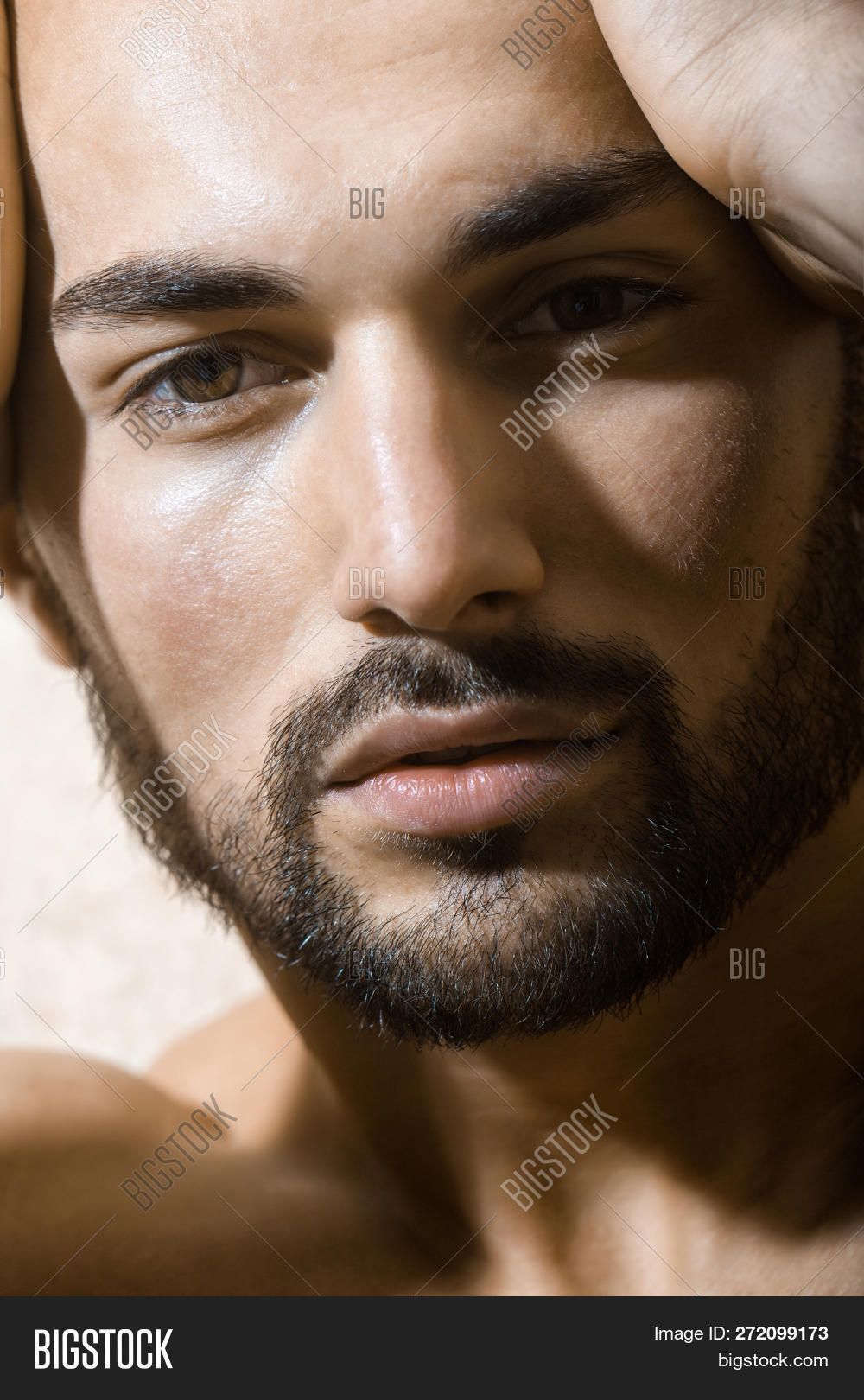 adult,athlete,attractive,background,beard,bearded,beautiful,beauty,body,caucasian,chest,elegance,face,fashion,fit,guy,hair,hairstyle,hand,handsome,happiness,happy,health,healthy,isolated,lifestyle,macho,male,man,men,model,modern,muscle,muscular,naked,one,people,person,portrait,serious,sexy,smile,studio,style,stylish,torso,wall,white,young