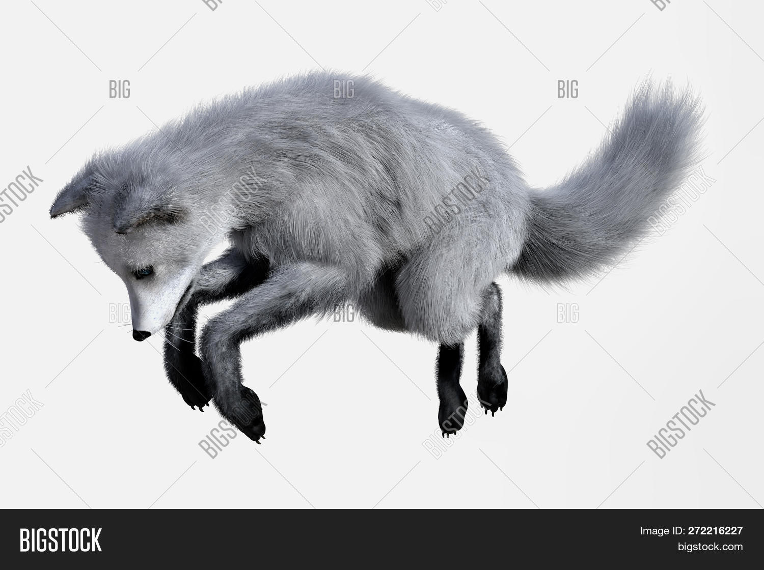 3d,alaska,animal,arctic,art,canada,carnivore,coat,digital,fox,fur,ice,mamal,nature,painting,photo,predator,rendering,snow,snowing,tundra,white,wildlife,winter