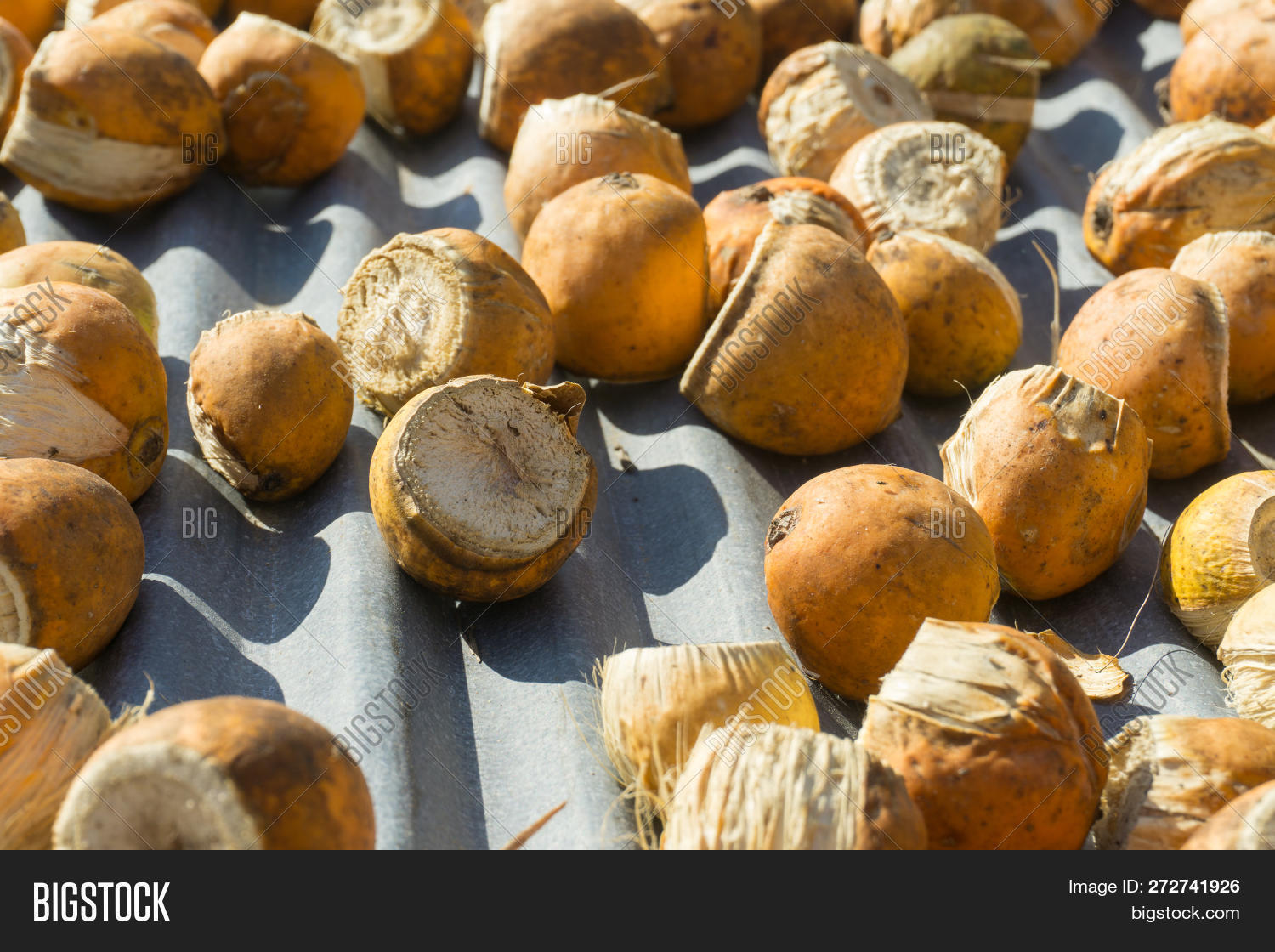 Myanmar,addiction,areca,asia,background,betel,chewing,closeup,color,culture,eat,food,fruit,india,indian,material,medicinal,medicine,nature,nut,palm,peanut,raw,seed,traditional