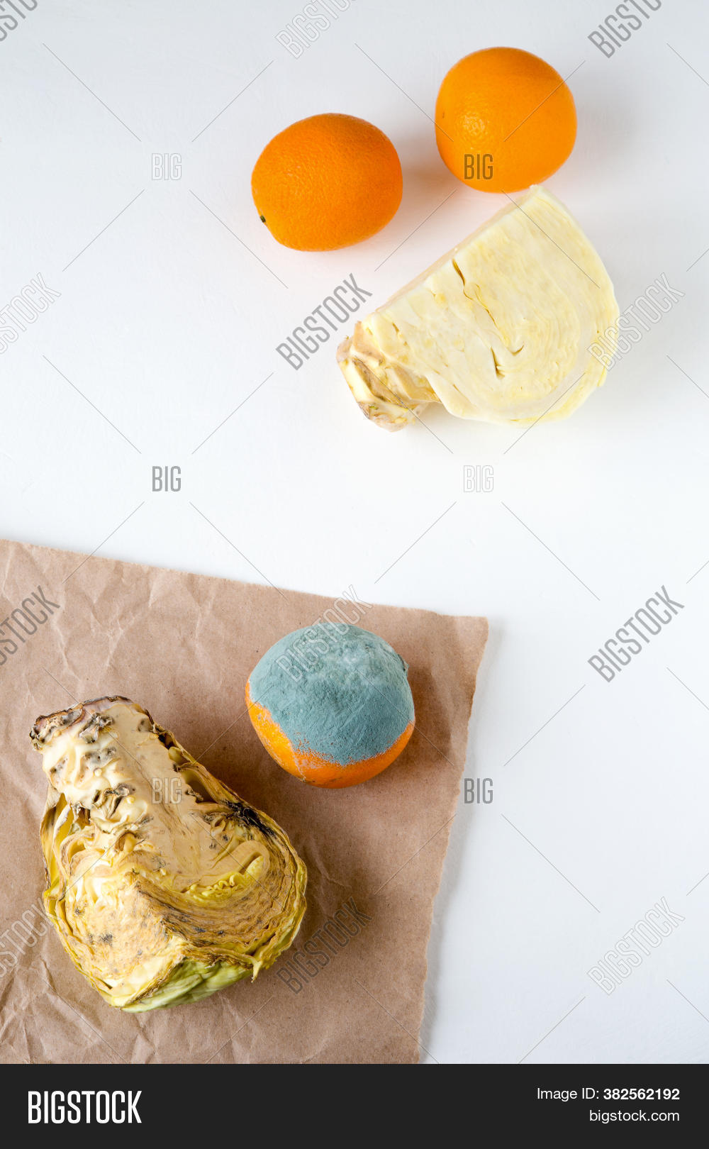 opposite, 																					vegetables, 																					fruit, 																					rotten, 																					uneatable, 																					fresh, 																					edible, 																					inedible, 																					beautiful, 																					healthy, 																					attractive, 																					food, 																					spoiled, 																					mold, 																					cabbage, 																					reverse, 																					orange, 																					stale, 																					damaged, 																					agriculture, 																					decay, 																					old, 																					organic, 																					overripe, 																					rot, 																					unhealthy, 																					yellow, 																					defective, 																					mouldy, 																					peel, 																					isolated, 																					rejected, 																					dried, 																					process, 																					harmful, 																					mildew, 																					decomposed, 																					unpleasant, 																					unedible, 																					substandard, 																					inferior, 																					garbage, 																					expired, 																					throw, 																					trash