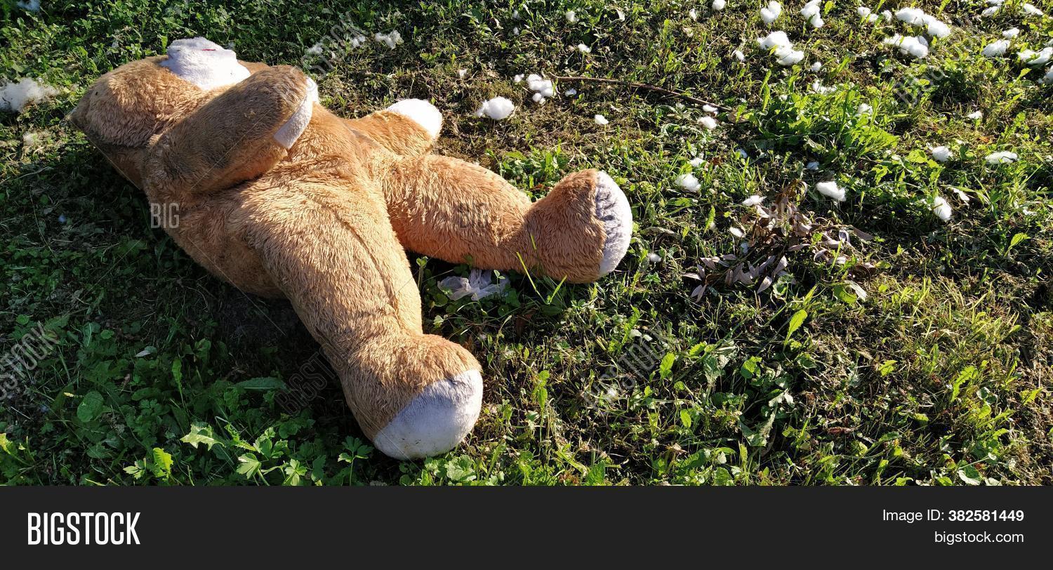 bear, 																					teddy, 																					abandoned, 																					dirty, 																					vintage, 																					floor, 																					house, 																					white, 																					black, 																					toy, 																					torn, 																					old, 																					lonely, 																					stuffed, 																					sad, 																					child, 																					childhood, 																					deserted, 																					alone, 																					concept, 																					cute, 																					brown, 																					broken, 																					background, 																					doll, 																					messy, 																					trash, 																					animal, 																					sadness, 																					left, 																					play, 																					creepy, 																					discarded, 																					fluffy, 																					dirt, 																					kids, 																					forgotten, 																					innocence, 																					decay, 																					weathered, 																					grunge, 																					abused, 																					debris, 																					furry, 																					lost, 																					dark, 																					time, 																					abuse, 																					abandonment