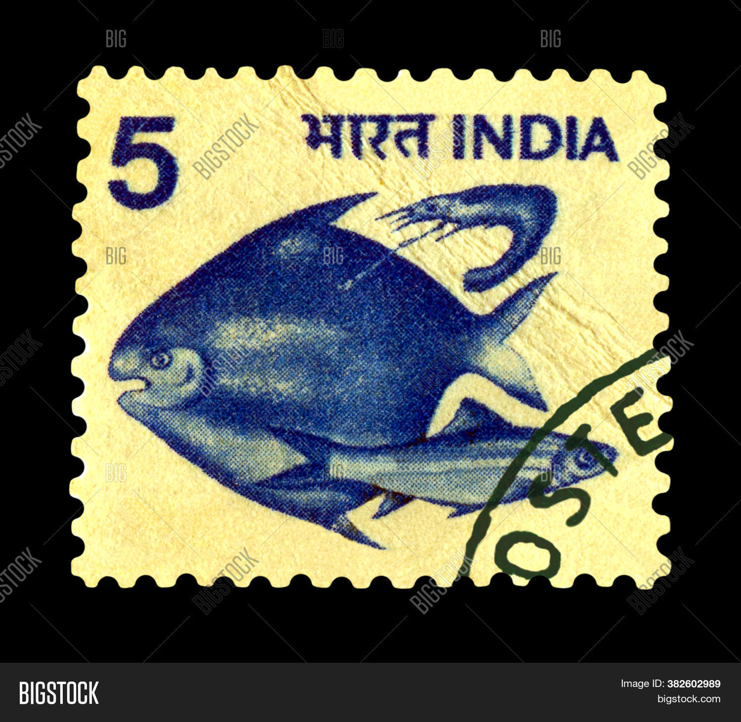 animal, 																					asia, 																					aged, 																					aquatic, 																					India, 																					catfish, 																					isolated, 																					canvas, 																					card, 																					collection, 																					color, 																					communication, 																					deliver, 																					envelope, 																					fauna, 																					fish, 																					freshwater, 																					ichthyology, 																					hobby, 																					image, 																					lake, 																					letter, 																					macro, 																					mail, 																					nature, 																					old, 																					past, 																					perforated, 																					philately, 																					post, 																					postage, 																					postmark, 																					protection, 																					send, 																					river, 																					stained, 																					stamp, 																					swim, 																					water, 																					vintage, 																					zoology
