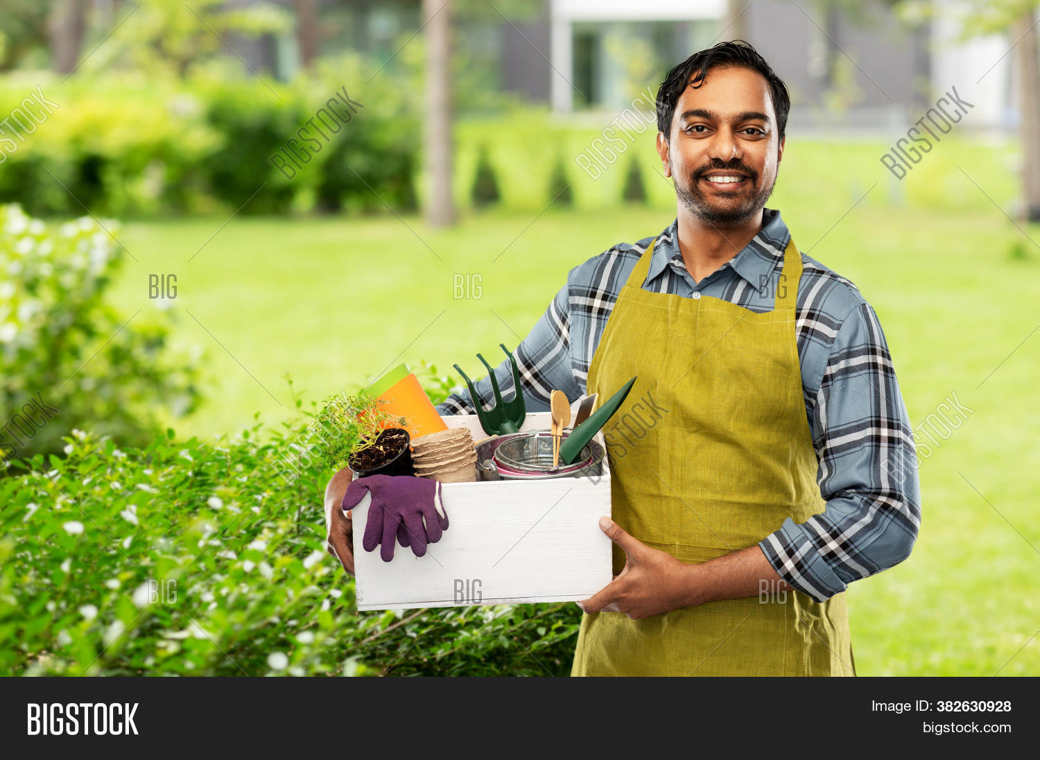 adult, 																					agriculture, 																					apron, 																					background, 																					beard, 																					box, 																					bucket, 																					concept, 																					copy space, 																					copyspace, 																					farmer, 																					farming, 																					flower, 																					fork, 																					garden, 																					gardener, 																					gardening, 																					glove, 																					guy, 																					happy, 																					indian, 																					instrument, 																					male, 																					man, 																					moustache, 																					mustache, 																					name tag, 																					nice, 																					outdoors, 																					person, 																					plaid shirt, 																					portrait, 																					pot, 																					rake, 																					rural, 																					smiling, 																					south asian, 																					tool, 																					trowel, 																					worker, 																					young