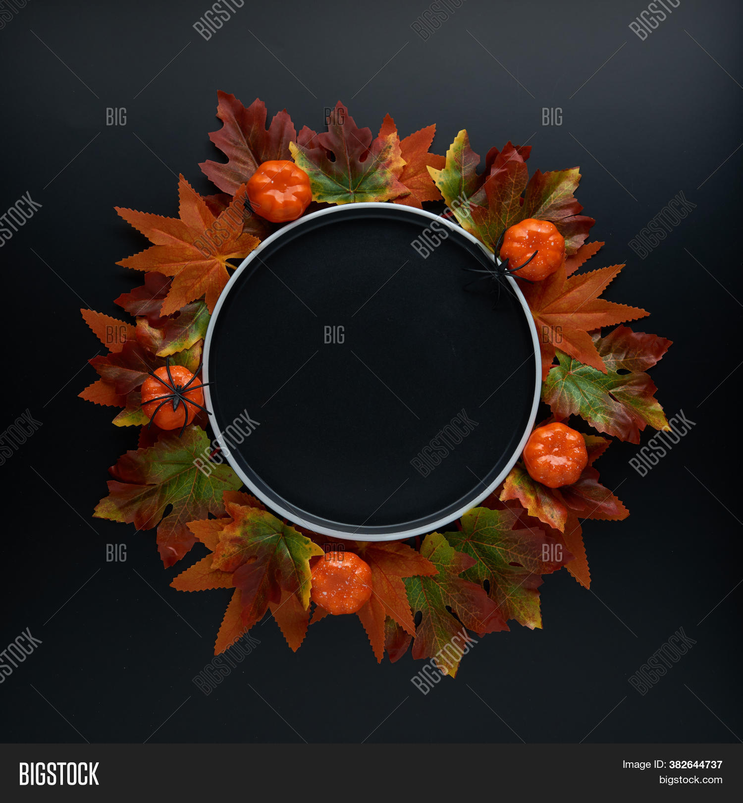 autumn, 																					background, 																					flat, 																					halloween, 																					abstract, 																					bright, 																					color, 																					design, 																					fall, 																					fresh, 																					leaf, 																					lay, 																					table, 																					concept, 																					top, 																					flatlay, 																					layout, 																					thanksgiving, 																					view, 																					maple, 																					brown, 																					minimal, 																					overhead, 																					above, 																					composition, 																					orange, 																					seasonal, 																					november, 																					october, 																					red, 																					holiday, 																					nature, 																					september, 																					frame, 																					creative, 																					leaves, 																					up, 																					texture, 																					black, 																					dark, 																					yellow, 																					wreath, 																					round, 																					green, 																					backdrop, 																					space, 																					plate, 																					pumpkin, 																					spider
