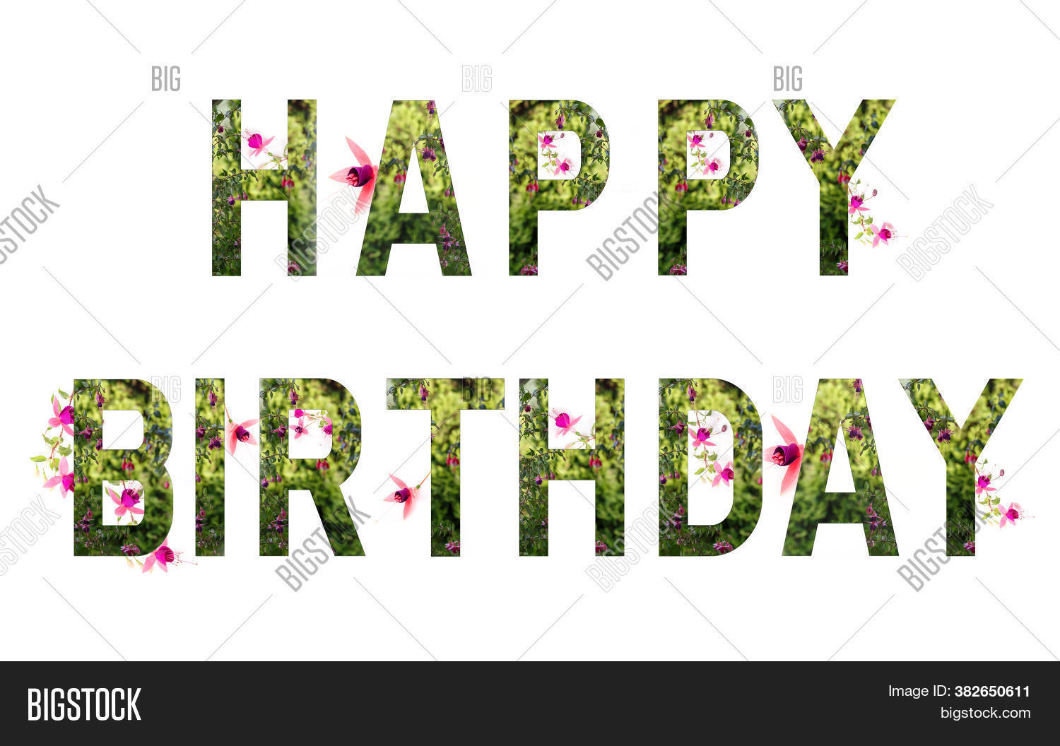 postcard, 																					alphabet, 																					pink, 																					fuchsia, 																					floral, 																					isolated, 																					colorful, 																					white, 																					summer, 																					spring, 																					orange, 																					letter, 																					flower, 																					garden, 																					nature, 																					abc, 																					organic, 																					plant, 																					symbol, 																					blooming, 																					blossom, 																					color, 																					bright, 																					beautiful, 																					macro, 																					text, 																					fresh, 																					pretty, 																					bloom, 																					natural, 																					green, 																					beauty, 																					botanical, 																					botany, 																					flora, 																					close, 																					closeup, 																					font, 																					set, 																					bouquet, 																					type, 																					collection, 																					petal, 																					background, 																					sign, 																					character, 																					typography