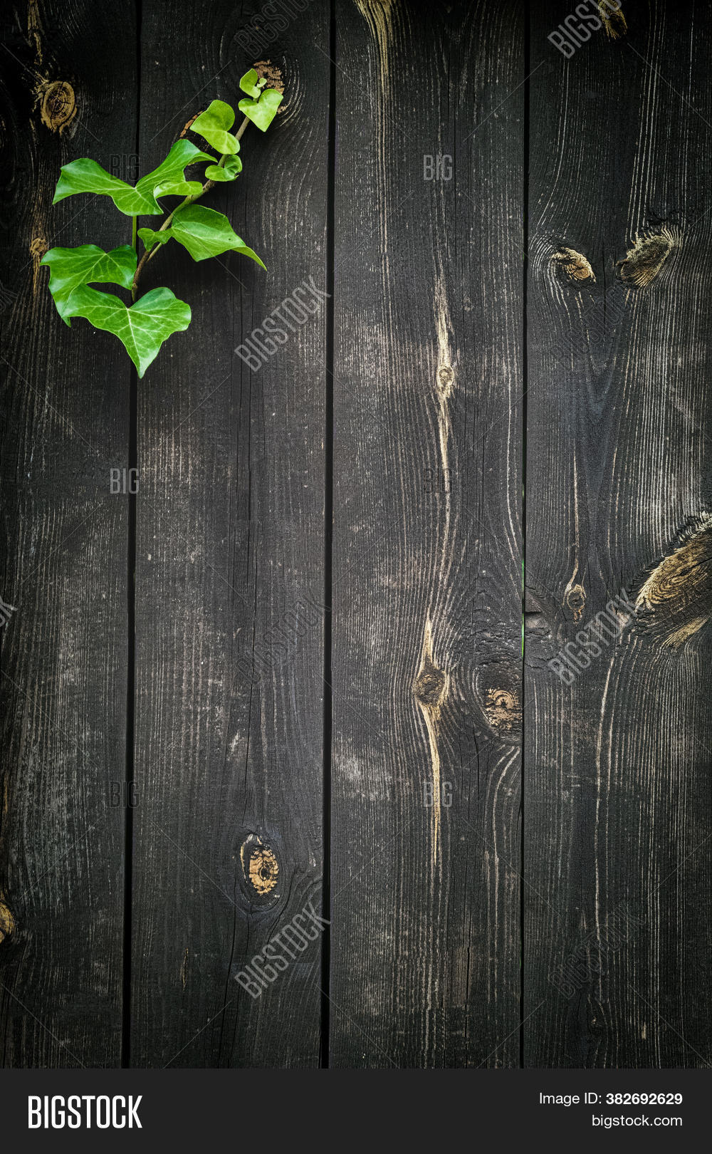 grunge, 																					surface, 																					wood, 																					board, 																					background, 																					table, 																					wooden, 																					wall, 																					plank, 																					vintage, 																					timber, 																					floor, 																					old, 																					brown, 																					pattern, 																					rough, 																					teak, 																					natural, 																					design, 																					abstract, 																					rustic, 																					parquet, 																					hardwood, 																					texture, 																					furniture, 																					material, 																					light, 																					oak, 																					wallpaper, 																					dark, 																					panel, 																					tree, 																					retro, 																					structure, 																					weathered, 																					nature, 																					pine, 																					fence, 																					desk, 																					plywood, 																					marble, 																					frame, 																					fake, 																					horizontal, 																					grungy, 																					detail, 																					strip, 																					tile, 																					exterior, 																					vinyl