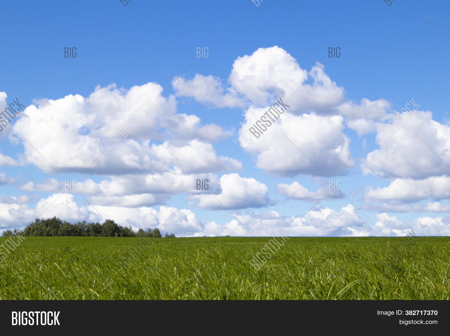 sky, 																					weather, 																					cumulus, 																					sunlight, 																					color, 																					fluffy, 																					day, 																					space, 																					beauty, 																					white, 																					cloudscape, 																					clear, 																					nature, 																					blue, 																					landscape, 																					outdoors, 																					view, 																					climate, 																					scenic, 																					overcast, 																					high, 																					background, 																					sunny, 																					environment, 																					beautiful, 																					light, 																					cloudy, 																					summer, 																					seasonal, 																					cloud, 																					heaven, 																					wind, 																					tranquil, 																					abstract, 																					precipitation, 																					bright, 																					moisture, 																					sunshine, 																					haze, 																					front, 																					fall, 																					cloudiness, 																					season, 																					sparse, 																					field, 																					grass, 																					land, 																					village