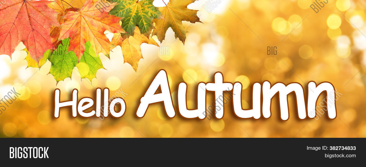 design, 																					banner, 																					text, 																					font, 																					object, 																					background, 																					september, 																					color, 																					season, 																					seasonal, 																					beautiful, 																					october, 																					card, 																					autumn, 																					fall, 																					autumnal, 																					hello, 																					november, 																					blurred, 																					bokeh, 																					lights, 																					effect, 																					wallpaper, 																					leaves, 																					orange, 																					day, 																					thanksgiving, 																					golden, 																					dry, 																					mood, 																					yellow, 																					red, 																					greeting, 																					holiday, 																					backdrop, 																					bright, 																					foliage, 																					leafage, 																					flora, 																					floral, 																					morning, 																					outdoors, 																					tree, 																					colorful, 																					forest, 																					nature, 																					park, 																					texture, 																					gold, 																					plant