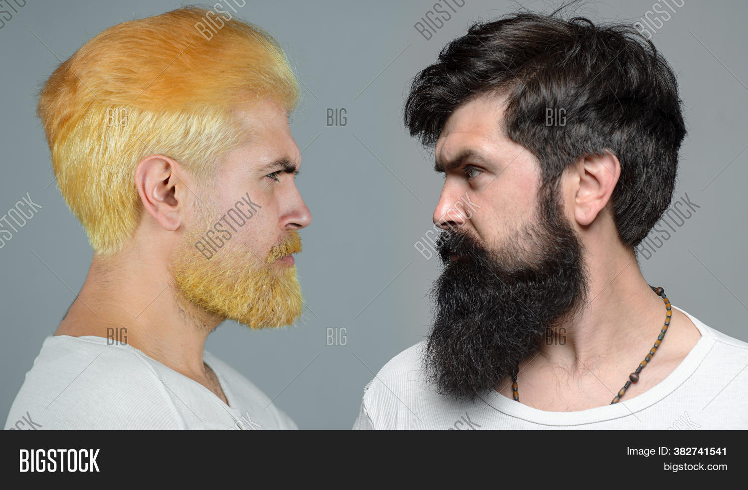 men, 																					set, 																					portrait, 																					Profile, 																					closeup, 																					serious, 																					man, 																					has, 																					beard, 																					mustache, 																					look, 																					seriously, 																					isolated, 																					Hipster, 																					sexy, 																					guy, 																					expression, 																					looking, 																					Colored, 																					hair, 																					Male, 																					Brunette, 																					vs, 																					blond, 																					confident, 																					emotion, 																					haircut, 																					trendy, 																					young, 																					barber, 																					barbershop, 																					moustach, 																					style, 																					handsome, 																					fashion, 																					trend, 																					stylish, 																					hairdo, 																					bearded, 																					moustache, 																					bristle, 																					unshaved, 																					hairstyle, 																					face, 																					salon