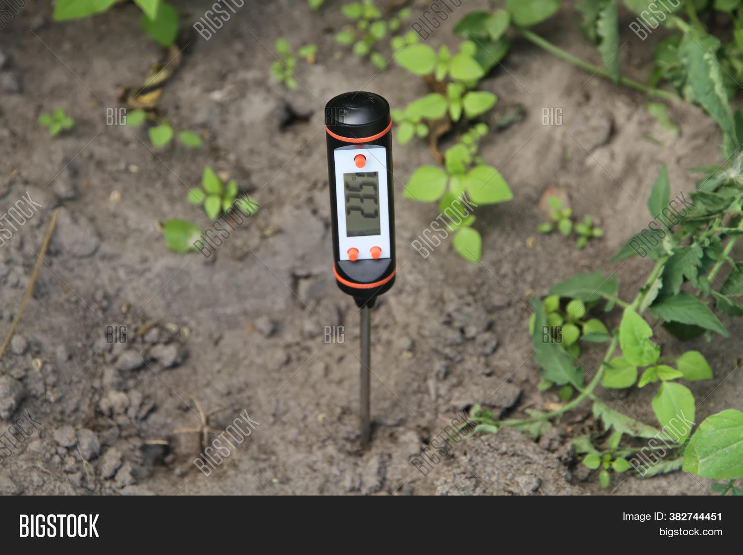 acidity, 																					agriculture, 																					alkaline, 																					analysis, 																					background, 																					biology, 																					control, 																					detail, 																					display, 																					electronic, 																					environment, 																					equipment, 																					farm, 																					farming, 																					gardens, 																					green, 																					hydroponic, 																					instrument, 																					kit, 																					lab, 																					laboratory, 																					measure, 																					measurement, 																					meter, 																					moisture, 																					metering, 																					metric, 																					nature, 																					neutral, 																					nutrients, 																					ph, 																					ph-meter, 																					plant, 																					plantation, 																					probe, 																					protection, 																					results, 																					scale, 																					scientific, 																					sensor, 																					soil, 																					substances, 																					technology, 																					test, 																					tools, 																					water