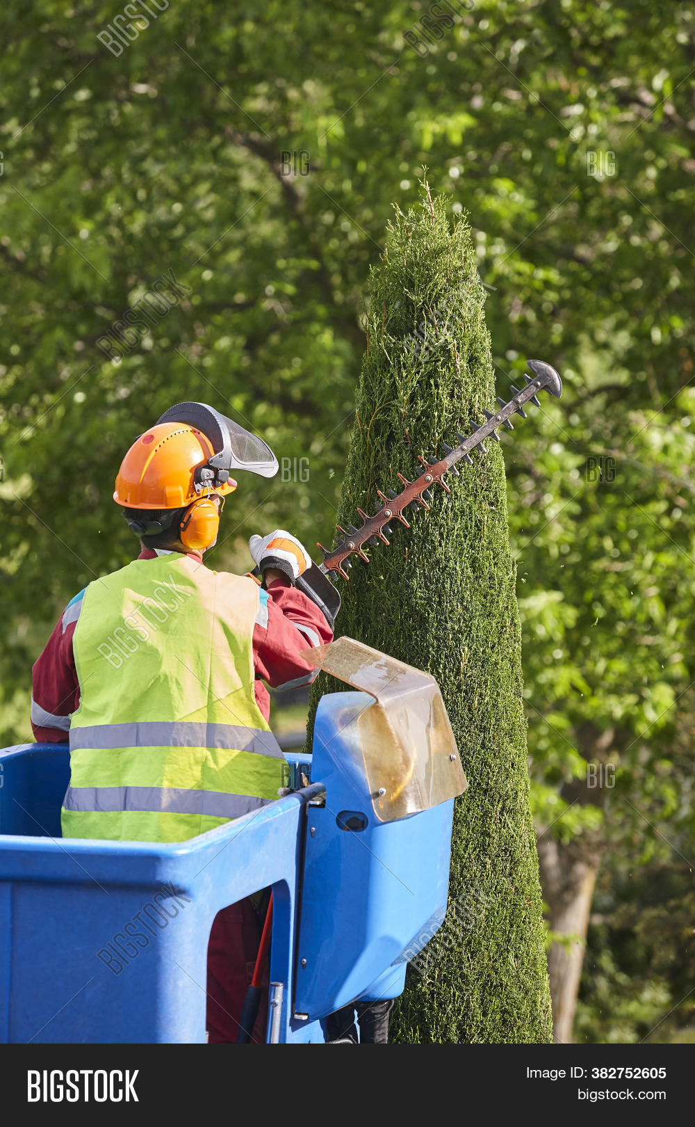 pruning, 																					gardener, 																					green, 																					gardening, 																					maintenance, 																					cypress, 																					tool, 																					chainsaw, 																					trimmer, 																					outdoor, 																					branch, 																					shear, 																					job, 																					bush, 																					outside, 																					cut, 																					nature, 																					work, 																					trim, 																					plant, 																					professional, 																					garden, 																					tree, 																					care, 																					shrub, 																					season, 																					man, 																					spring, 																					trimming, 																					male, 																					scissors, 																					secateurs, 																					prune, 																					pruner, 																					occupation, 																					activity, 																					worker, 																					crane, 																					agriculture, 																					equipment, 																					seasonal, 																					clippers, 																					metal, 																					cutter, 																					holding, 																					sharp, 																					blade