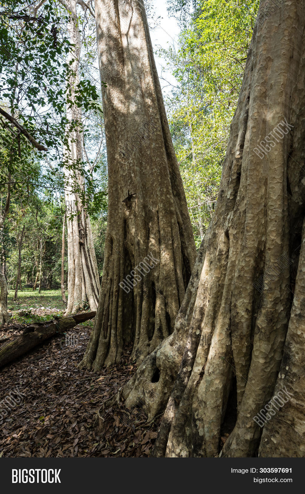 Ruins Of Ancient Beng Mealea Temple Over Jungle, Cambodia. Beng Mealea ...