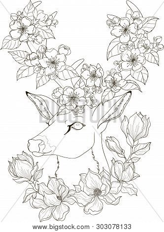 Drawing Deer With Magnolia And Apple Blossom In Zentangle Style For Adult Coloring Pages. Stylized I