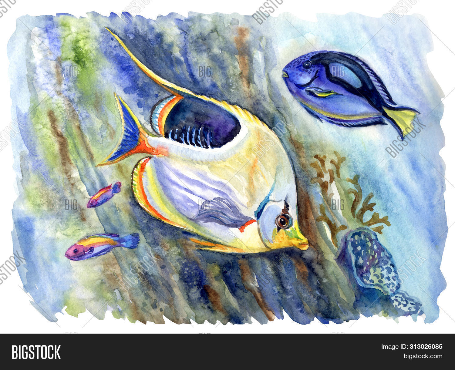 animal,aquarium,aquatic,art,background,beautiful,blue,bright,butterfly,chaetodon,colorful,coral,diving,drawing,drawn,exotic,fauna,fish,hand,illustration,isolated,life,marine,nature,ocean,oceanic,paint,pantodon,reef,saltwater,sea,surgeon,swim,tropic,tropical,underwater,water,watercolor,watercolour,wild,wildlife,yellow,zoology