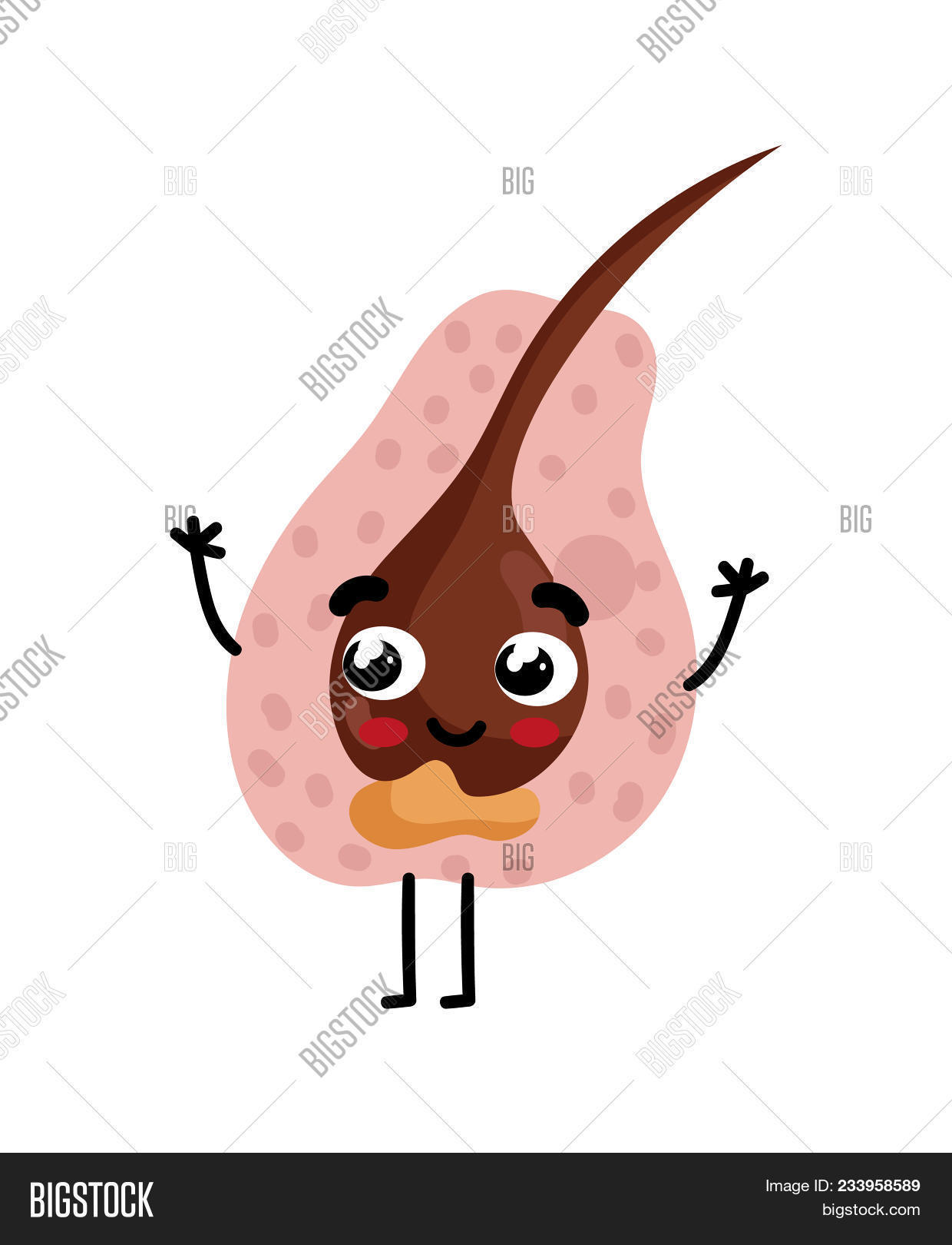 anatomical,anatomy,body,care,cartoon,character,cute,design,education,element,emoticon,eye,follicle,funny,graphic,hair,hand,health,healthcare,healthy,human,icon,illustration,infographic,internal,isolated,medical,medicine,organ,part,people,physiology,science,symbol,system