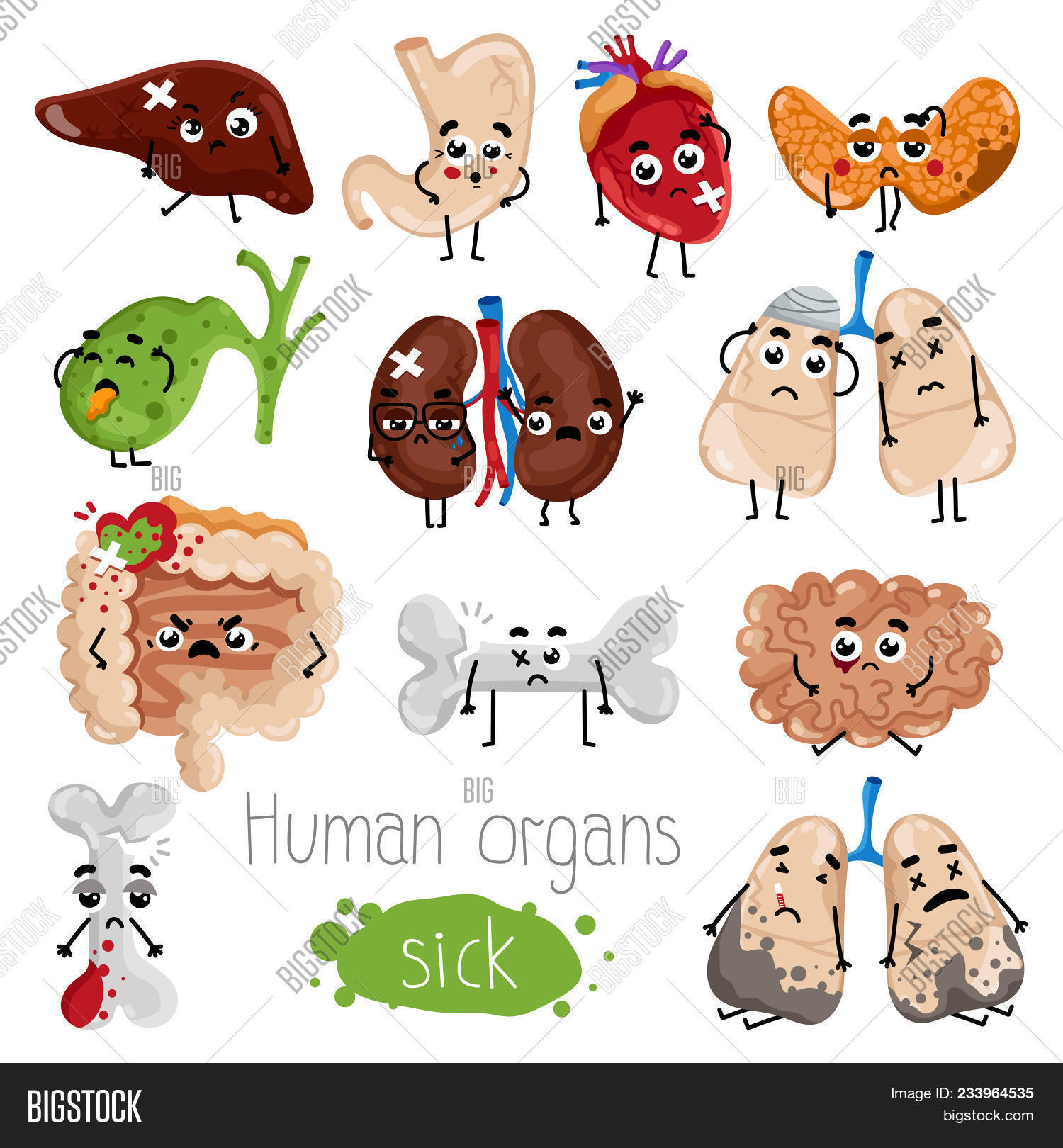 anatomical,anatomy,body,bone,brain,broken,care,cartoon,character,cute,design,education,element,emoticon,eye,funny,gallbladder,graphic,hand,health,healthcare,healthy,heart,human,icon,illustration,infographic,internal,intestine,isolated,kidneys,liver,lungs,medical,medicine,organ,part,people,physiology,sad,science,set,sick,stomach,symbol,system,thyroid