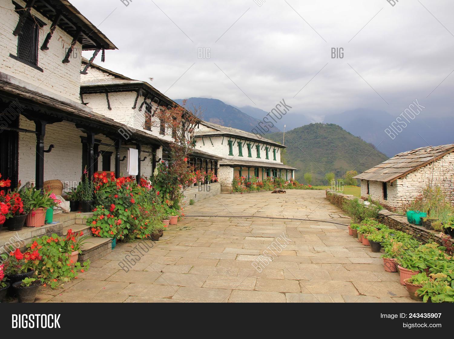 Area,Chomrong,Conservation,Gandruk,Ghandruk,Gurung,accomodation,adventure,annapurna,architecture,asia,beautiful,colorful,culture,destinations,exteriors,facade,flowers,forest,garden,green,guesthouse,hiking,hill,himalaya,hotel,house,idyllic,landscape,nature,nepal,old,outdoor,place,plant,pokhara,range,ridge,row,rural,spring,springtime,top,tourism,traditional,travel,trekking,trip,view,village