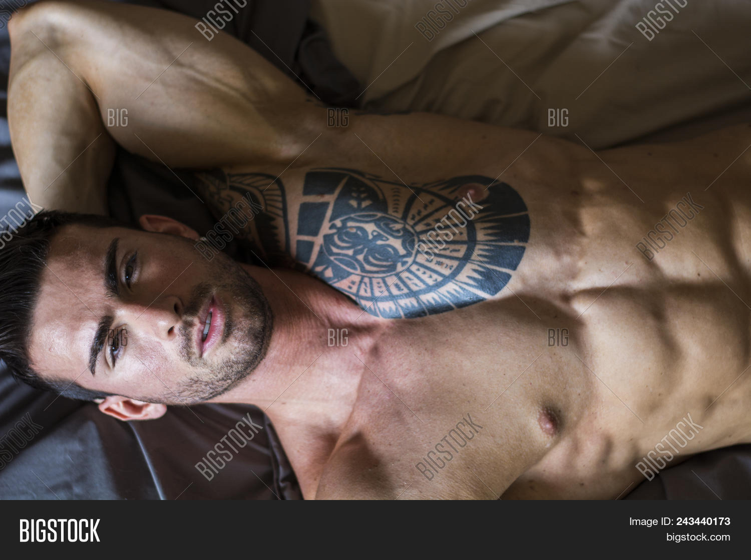 alluring,alone,appealing,attractive,bed,bedroom,blinds,bodybuilder,camera,chest,fit,good,handsome,home,indoor,inviting,lone,loneliness,lonely,looking,lying,macho,male,man,masculinity,model,muscle,muscular,pillow,seductive,sexy,shirtless,single,soft,solitary,tattoo,tattooed,tempting,waiting,young