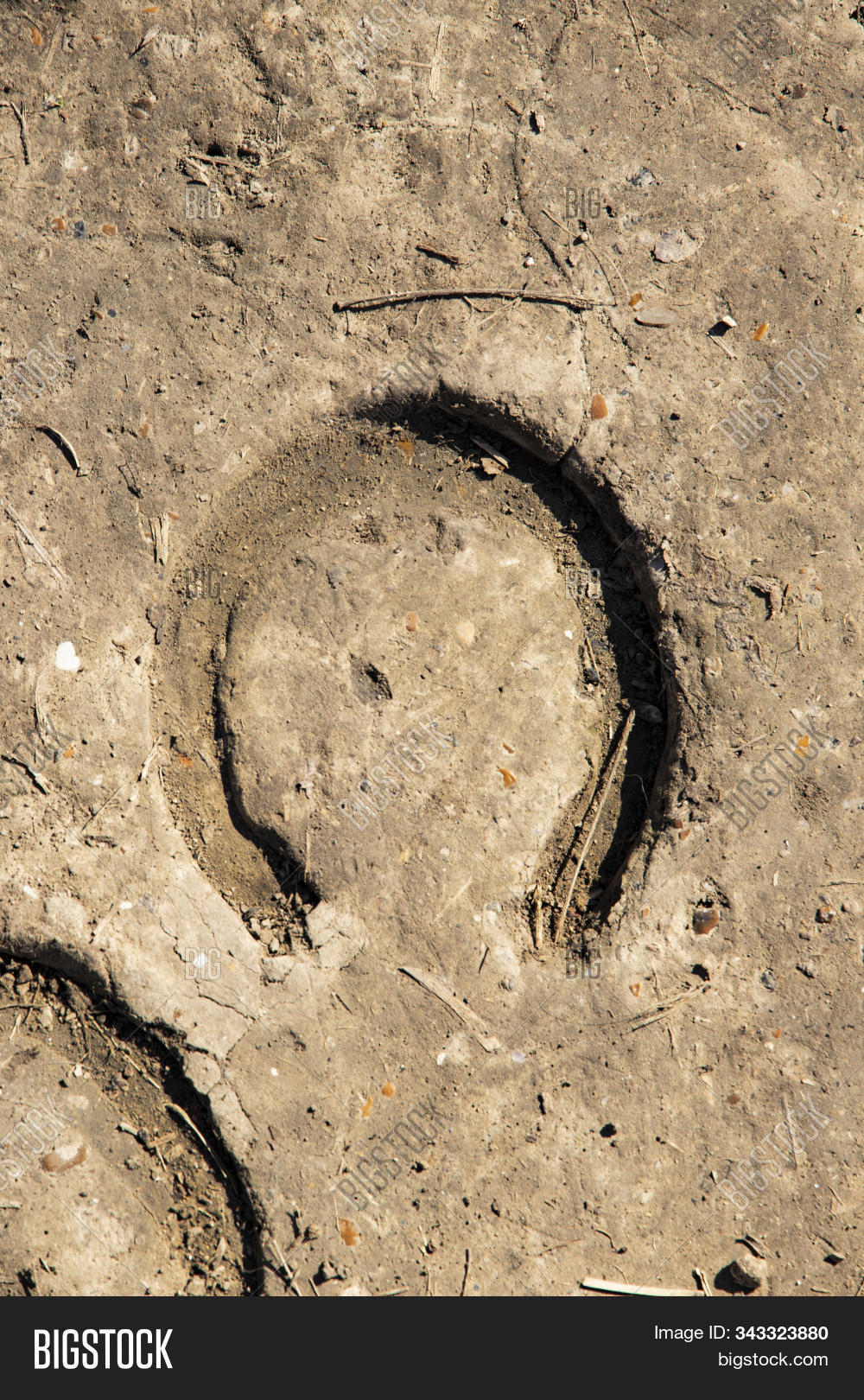 abstract,animal,background,brown,close-up,closeup,color,countryside,dirt,equestrian,equine,foot,footprint,ground,grunge,hoof,hooves,horse,horseshoe,imprint,luck,mud,natural,nature,of,outdoor,pattern,paw,print,ride,road,rough,rural,sand,shoe,superstition,surface,symbol,talisman,texture,textured,track,tradition,trail,walk