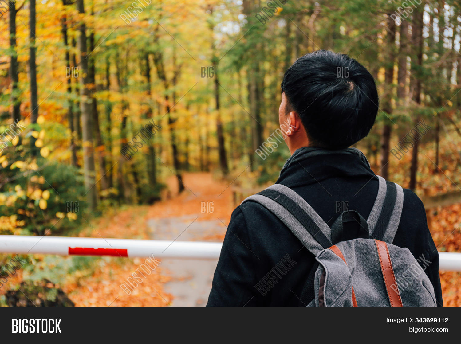 adult,asia,asian,autumn,back,background,backpack,backpacker,bag,beautiful,chinese,colorful,copyspace,countryside,europe,european,fall,forest,germany,guy,happy,jacket,leaves,lifestyle,male,man,nature,outdoor,outside,park,people,person,poland,portrait,rear,road,season,standing,summer,sunny,tourist,travel,traveller,tree,view,west,winter,yellow,young