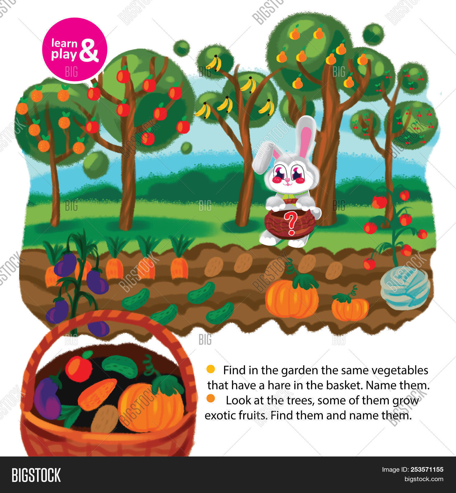 Hare,animal,apple,banana,basket,bed,breeding,bunny,cabbage,carrot,cartoon,character,cherry,children,cucumber,cultivation,draw,eggplant,exercise,exotic,farming,fruit,garden,gardening,ground,growing,growth,hand,kid,kindergarten,land,mammal,memory,orange,orchard,pear,plant,potato,preschool,pumpkin,question,rabbit,rodent,study,task,tomato,training,tree,vegetable
