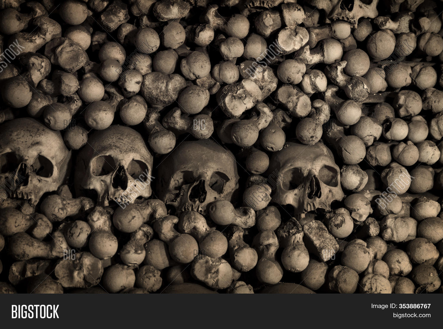 skull, 																					bone, 																					death, 																					fear, 																					catacombs, 																					row, 																					tomb, 																					decay, 																					burial, 																					morbid, 																					mystery, 																					hell, 																					disease, 																					religion, 																					closeup, 																					background, 																					pile, 																					cranium, 																					graveyard, 																					evil, 																					ossuary, 																					spooky, 																					horror, 																					halloween, 																					human, 																					skeleton, 																					head, 																					scary, 																					health, 																					anatomy, 																					black, 																					face, 																					concept, 																					dark, 																					teeth, 																					medical, 																					symbol, 																					abstract, 																					dead, 																					cemetery, 																					grave, 																					jaw, 																					corpse, 																					Kutna, 																					Hora, 																					Czech, 																					Republic, 																					crypt