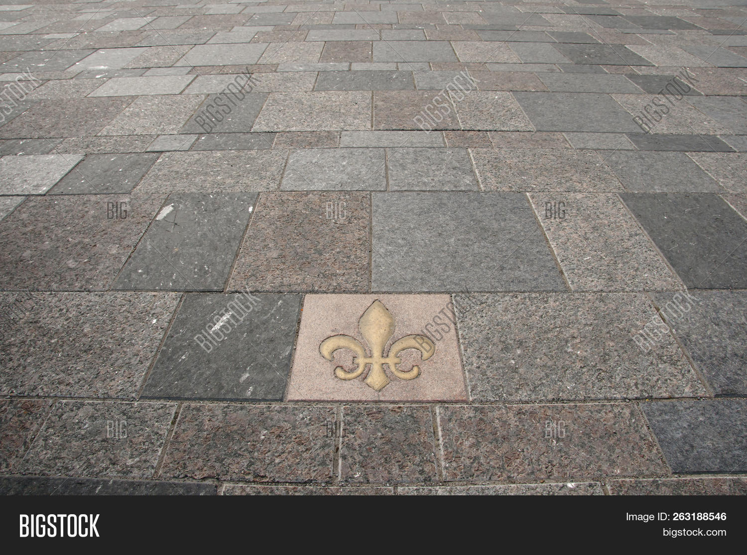 Fleur De Lis Tile Montreal City Canada 263188546 Image Fleur De Lis Tile Montreal City